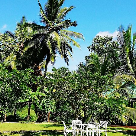 Rajarata Lodge Anuradhapura Ngoại thất bức ảnh