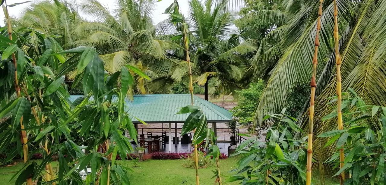 Rajarata Family Resort Anuradhapura Ngoại thất bức ảnh