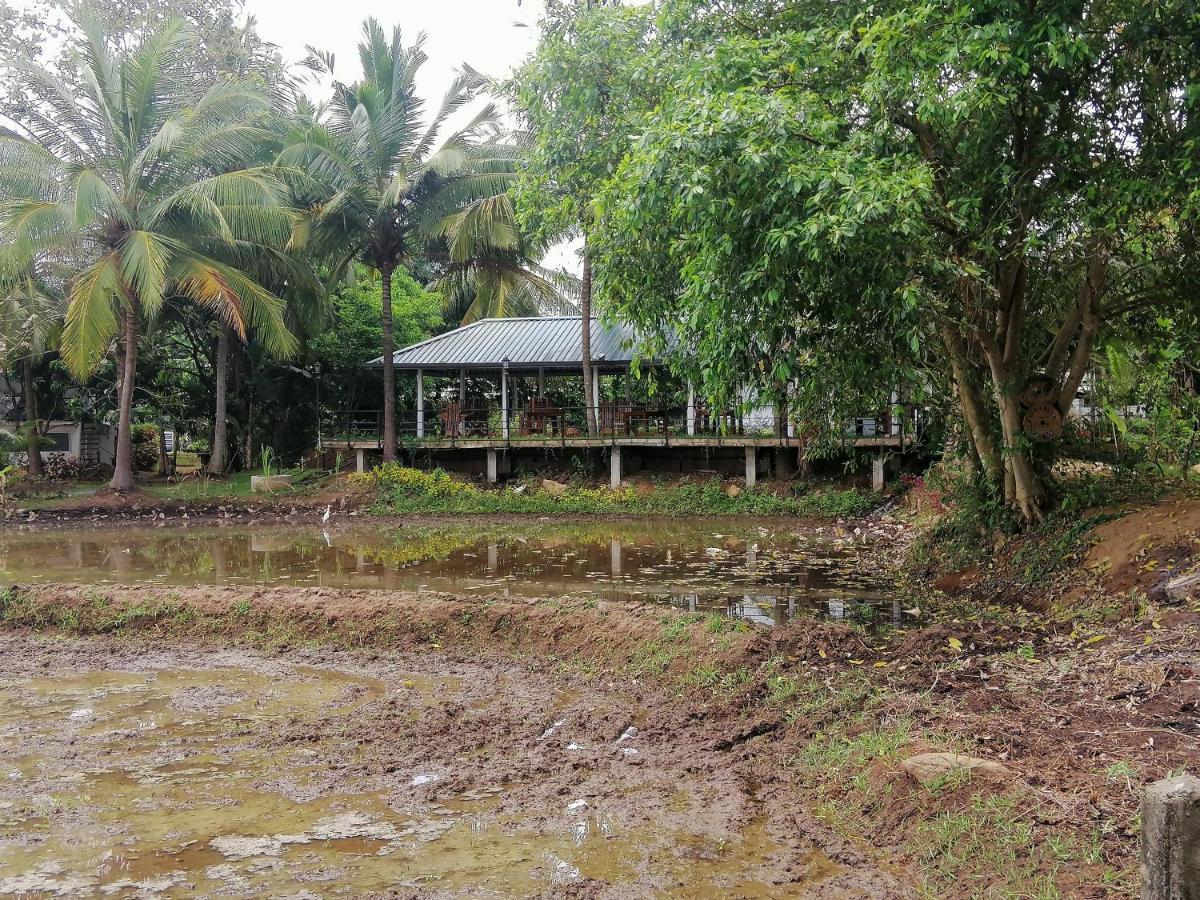 Rajarata Lodge Anuradhapura Ngoại thất bức ảnh