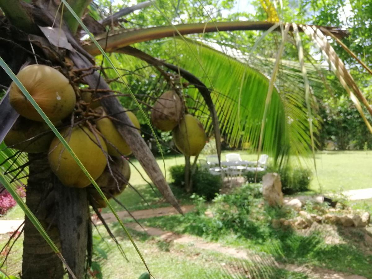 Rajarata Lodge Anuradhapura Ngoại thất bức ảnh