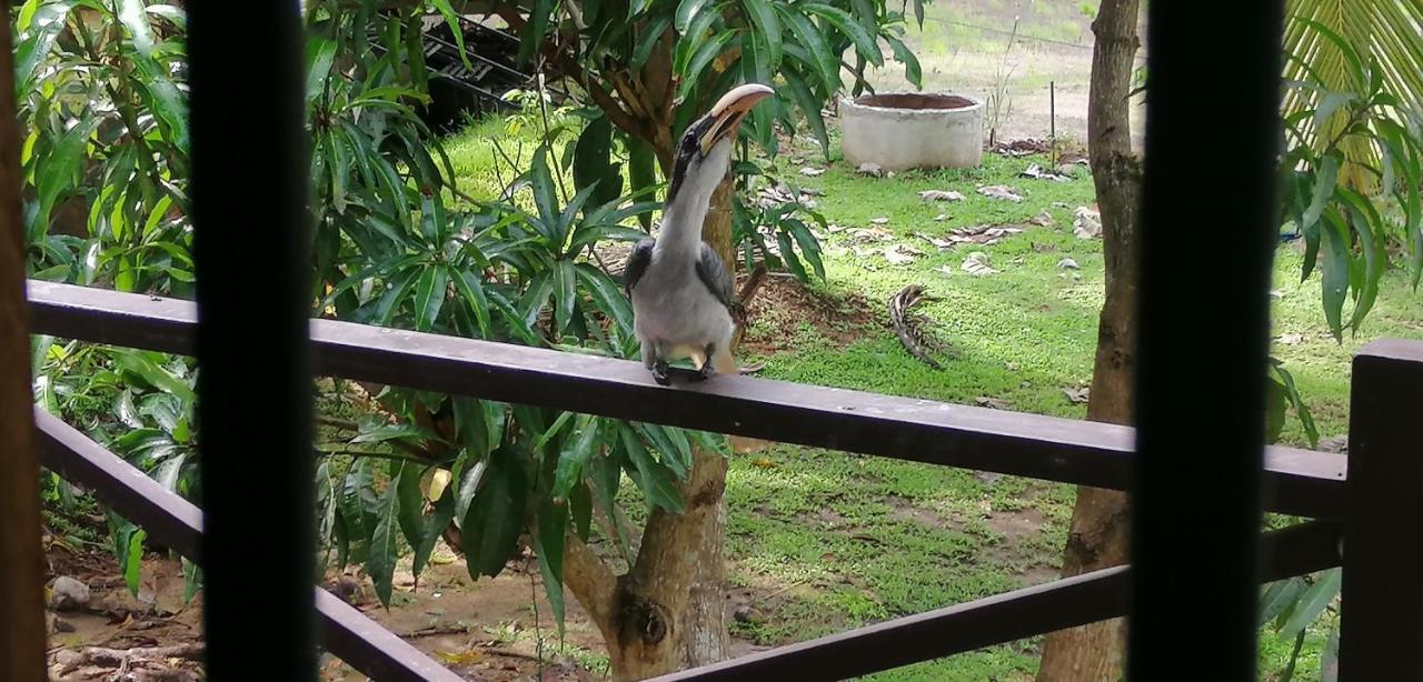 Rajarata Lodge Anuradhapura Ngoại thất bức ảnh