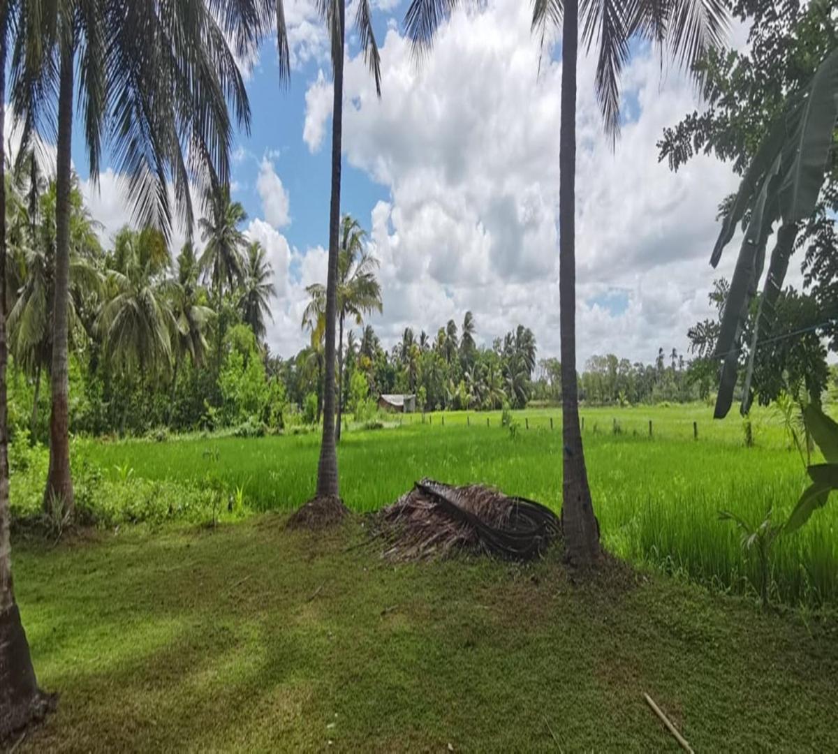 Rajarata Lodge Anuradhapura Ngoại thất bức ảnh