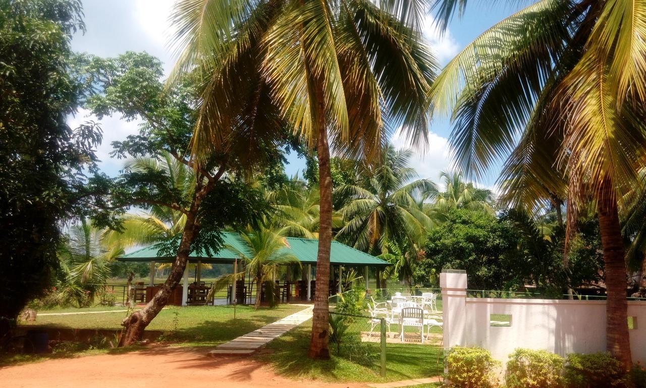 Rajarata Family Resort Anuradhapura Ngoại thất bức ảnh