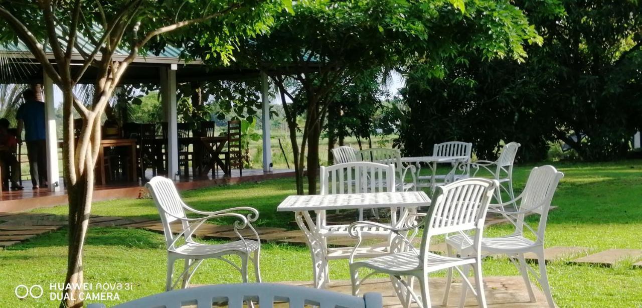 Rajarata Family Resort Anuradhapura Ngoại thất bức ảnh