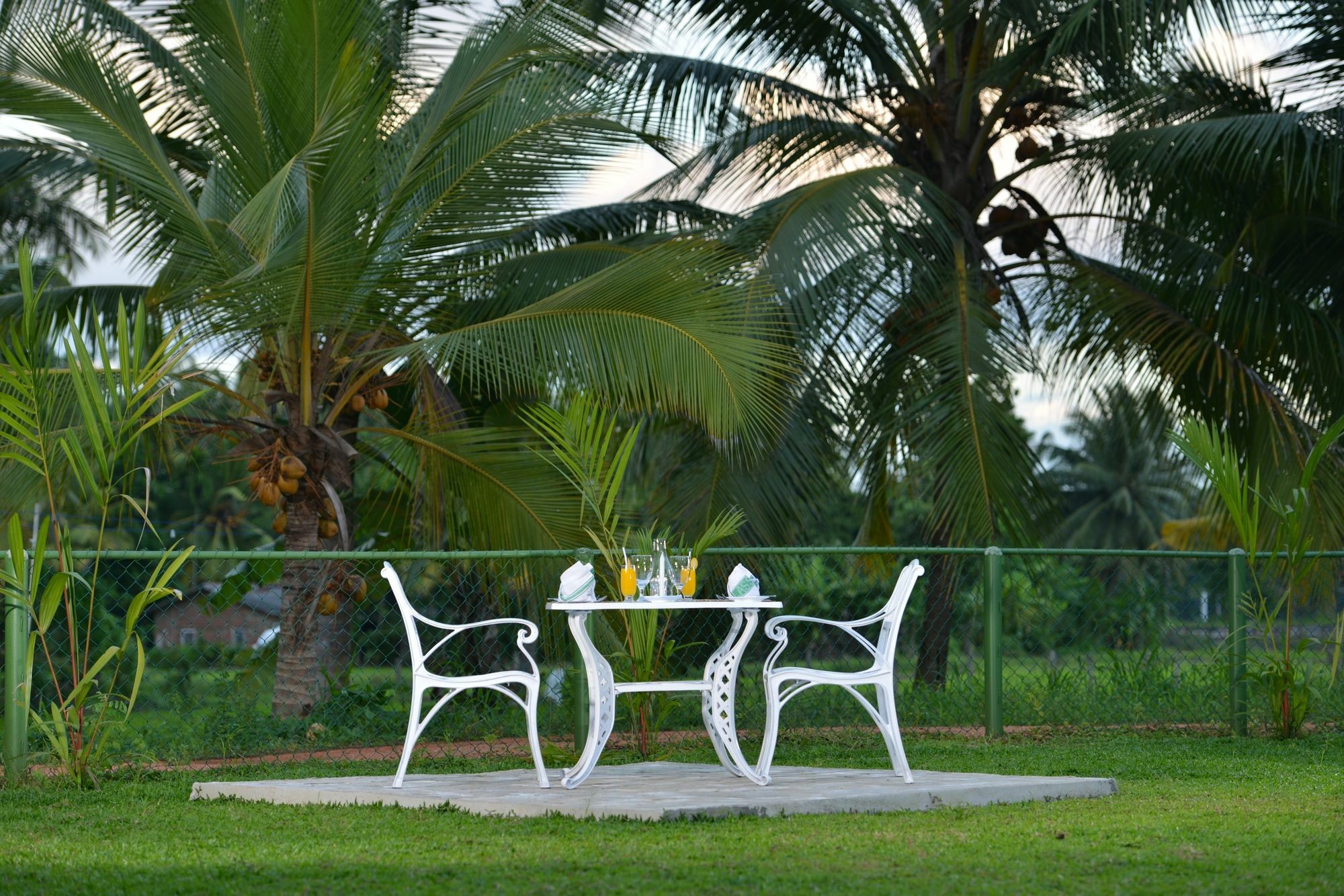 Rajarata Family Resort Anuradhapura Ngoại thất bức ảnh