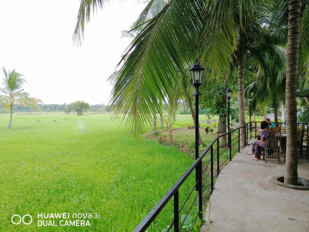 Rajarata Lodge Anuradhapura Ngoại thất bức ảnh